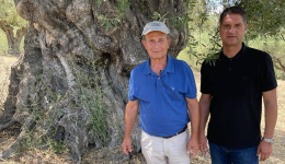 Επίσκεψη στις υπεραιωνόβιες ελιές της Βασιλάδας με στόχο να αναδειχθούν σε υπαίθριο πάρκο φυσικής ιστορίας