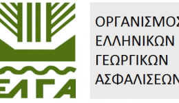 Ο Δήμος Μεσσήνης προέβη σε αναγγελία ζημιάς, για τις καλλιέργειες σύκων και σταφίδας που επλήγησαν από τις βροχοπτώσεις