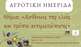 Αγροτική ημερίδα με θέμα «Ασθένειες της ελιάς και τρόποι αντιμετώπισης», θα γίνει την Παρασκευή στις 5:30 μ.μ. στο Δημαρχείο