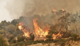 Υψηλός κίνδυνος δασικής πυρκαγιάς προβλέπεται αύριο και στην περιοχή μας