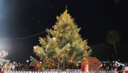 Φωταγωγήθηκε την Παρασκευή το βράδυ το Χριστουγεννιάτικο δέντρο στην κεντρική πλατεία Μεσσήνης